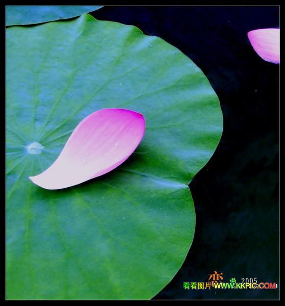  :»ũҵģӪͻũҵת͡ϺΪ
 ߣ»
 :2015-09-22 10:04:28
 :3906