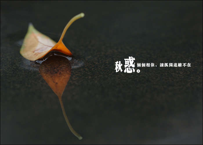  :ģ3еǨ
 ߣ
 :2014-11-19 10:26:10
 :1271