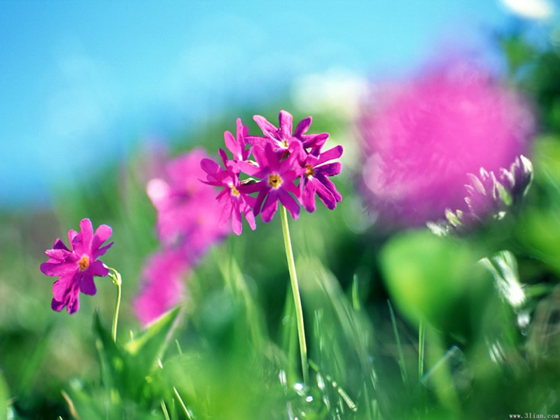  :ڶ컪еѧоѧ̳֪ͨ
 ߣư
 :2011-04-27 23:06:36
 :1732