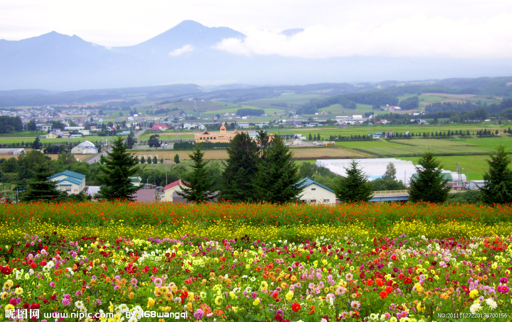  :ӡӣǹ
 ߣӡ
 :2015-06-10 10:39:06
 :3504